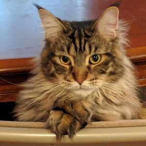 Meet your Posher, Sean